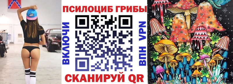 Псилоцибиновые грибы Cubensis  что такое наркотик  Новое Девяткино 